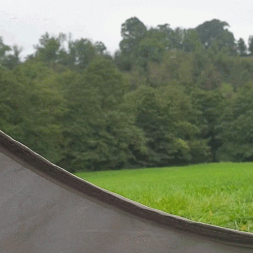 Green Field And Trees GIF