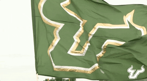 Green Flag With Bull Flying in Wind