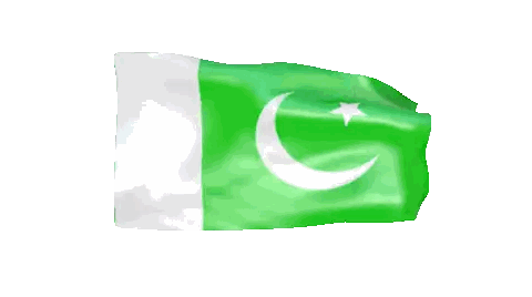 Green Flag With Crescent Moon and Star