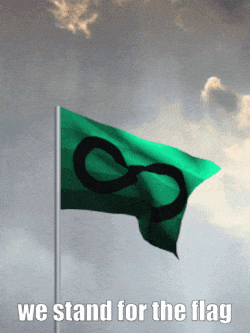 Green Flag With Infinity Symbol and We Stand for the Flag