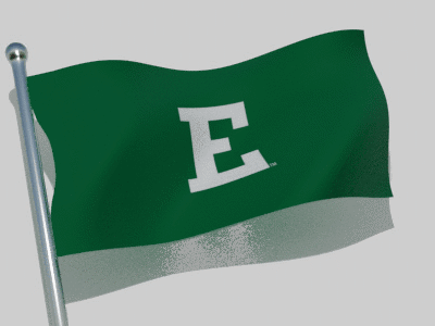 Green Flag With Letter E Waving