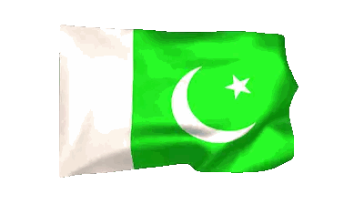 Green Flag With White Crescent Moon And Star