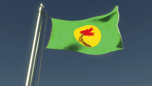 Green Flag with Yellow Circle and Red Flame