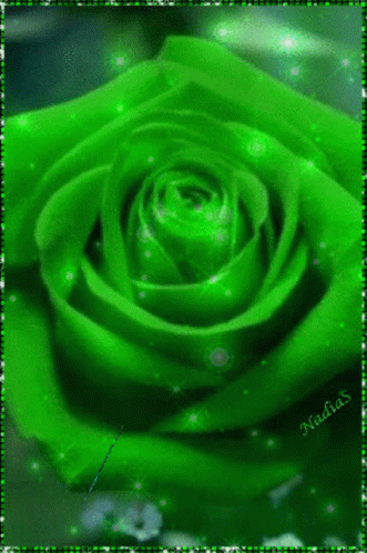Green Floral Rose Blooming GIF