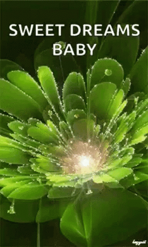 Green Floral Sweet Dreams Greeting GIF