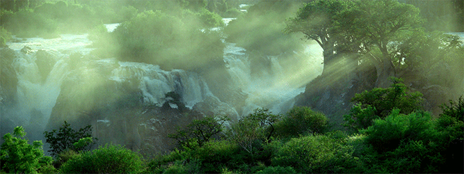 Green Forest Waterfall With Sunlight GIF