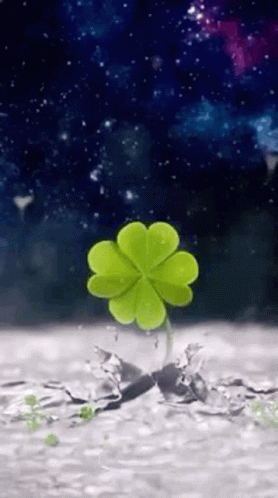 Green Four Leaf Clover Growing From Ground GIF