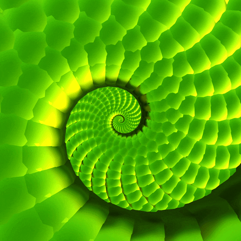 Green Fractal Hypnosis Spiral GIF
