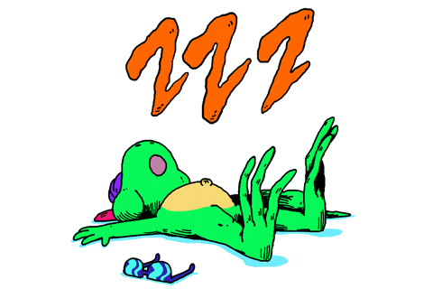 Green Frog Fell Asleep GIF