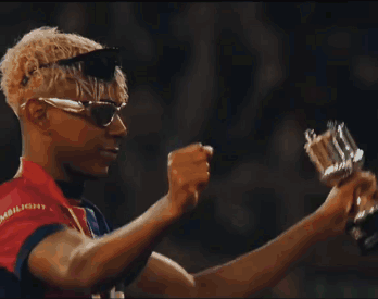 Green Frog Holding Red White And Green Flag GIF