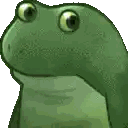 Green Frog With Big Eyes