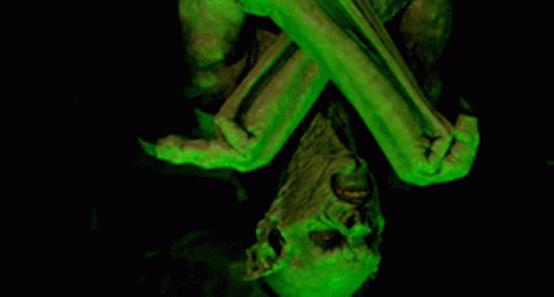 Green Glowing Skeleton with Skull Background