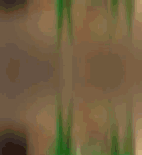 Green Horse With WhatsApp Logo