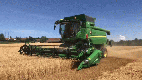 Green John Deere Combine Harvester in Wheat Field