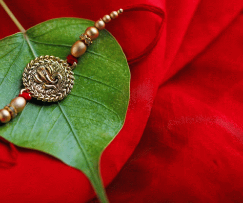 Green Leaf With Bracelet on Red Background Digital Bharati Logo