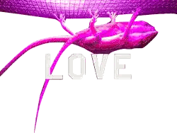 Green Lizard on Purple Snake Love