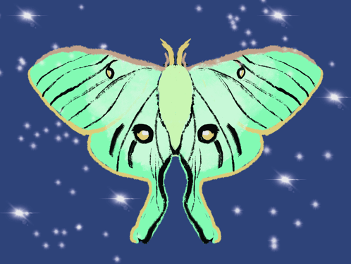 Green Moth GIF