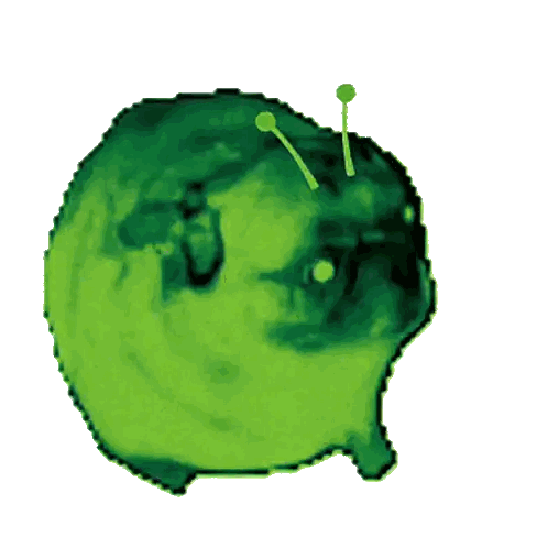 Green Oyster Drawing