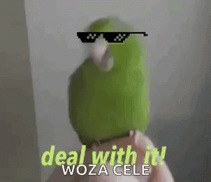 Green Parrot Wearing Sunglasses Deal With It Woza Cele