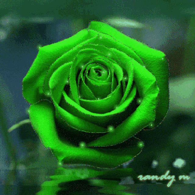 Green Rose1 Gif GIF