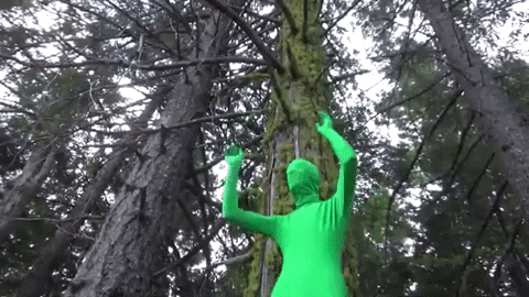 Green Screen Guy Dancing On Forest GIF