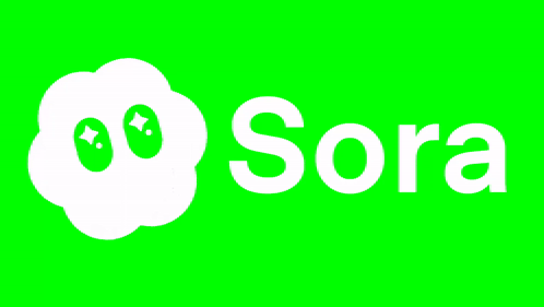Green Screen With Sora In White Letters GIF