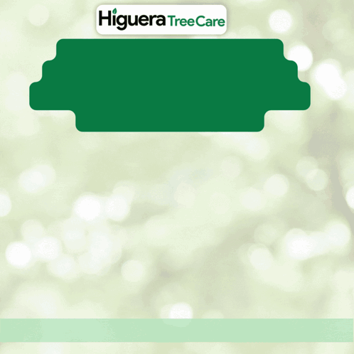 Green Sign Higuera Tree Care