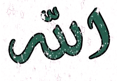 Green Snake Drawing