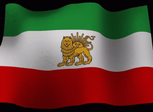 Green White and Red Flag With Lion