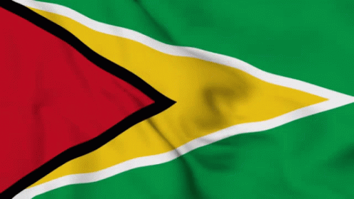 Green Yellow Red Flag With White Stripe GIF