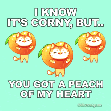 Greeting Card I Know It's Corny Peach of My Heart