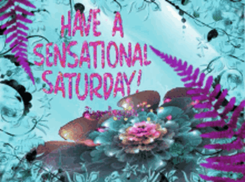 Greeting Card Saying Have a Sensational Saturday