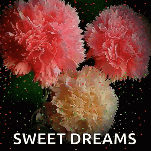 Greeting Card With Flowers Sweet Dreams GIF