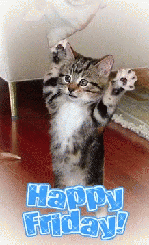 Greeting Card With Full Moon Gop Ns And Ktt GIF
