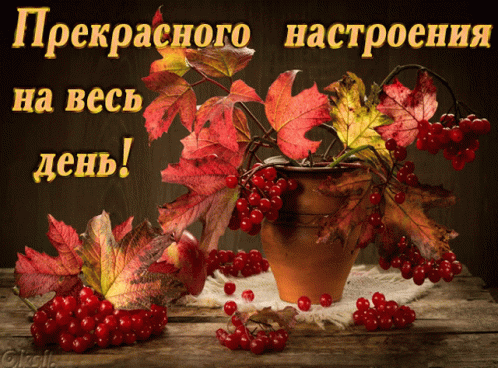 Greeting Card With Potted Plant Berries and Leaves