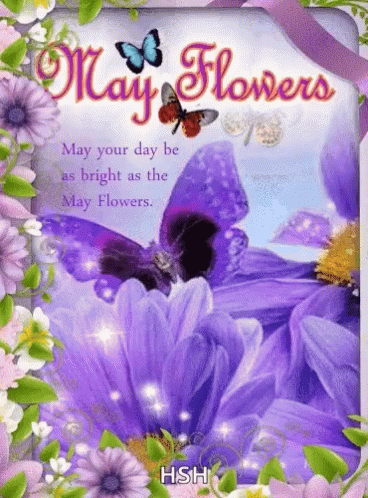 Greeting Card With Purple Flowers And Butterflies GIF