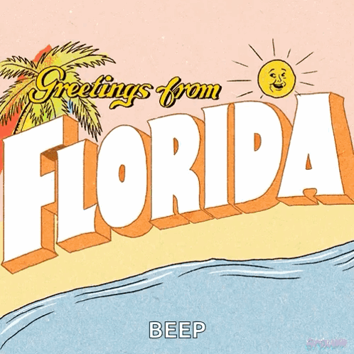 Greetings From Florida Beep Rainbow