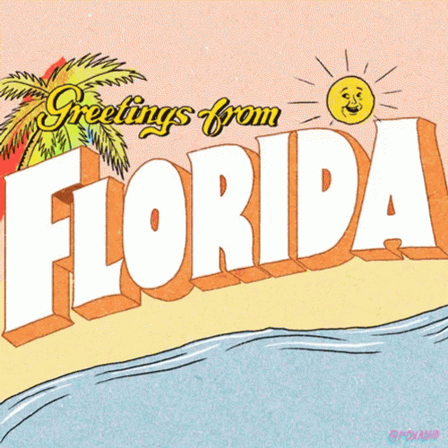 Greetings From Florida Sunny Rainbow GIF