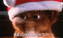 Gremlin in Santa Hat Saying Bright Light