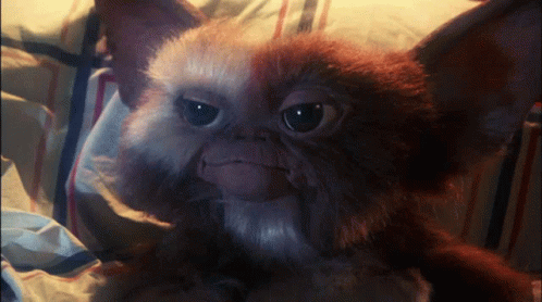 Gremlin Wearing Glasses Laying on Table
