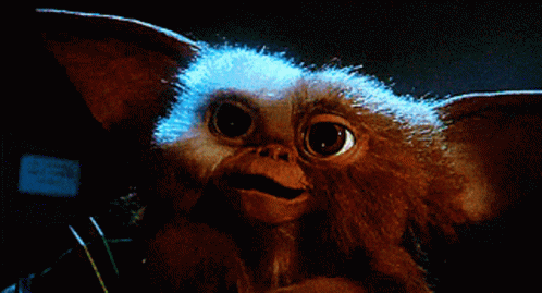 Gremlins Gizmo Close Up