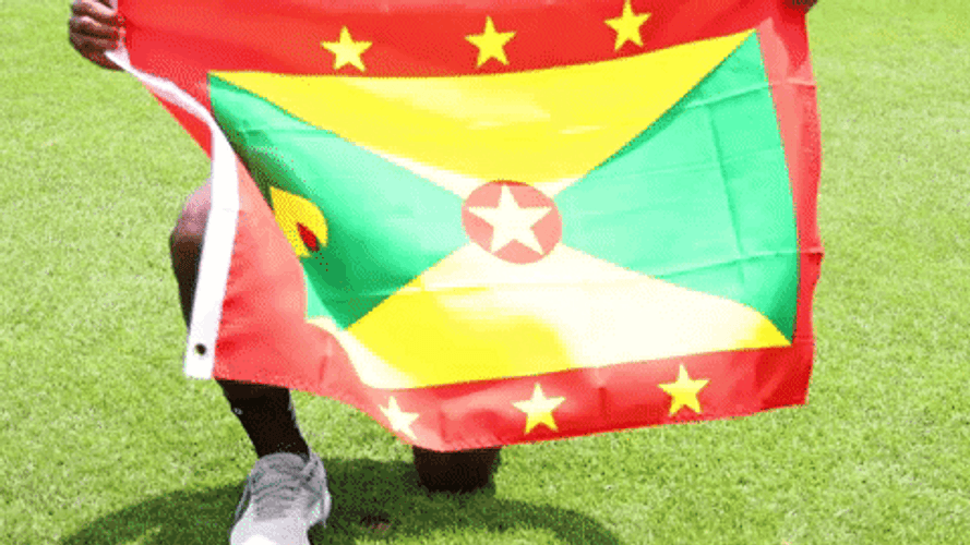 Grenada Flag In Soccer Field GIF