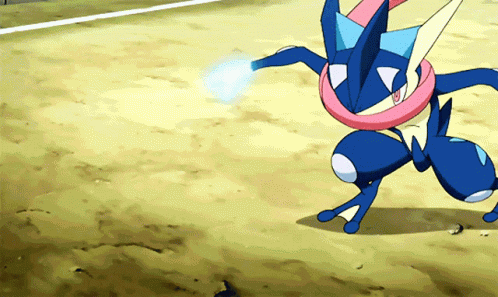 Greninja Sceptile Fight GIF