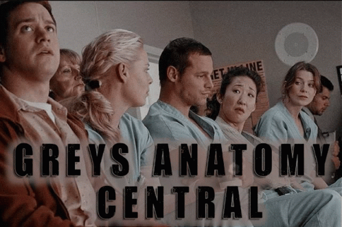 Grey's Anatomy Fan Art GIF