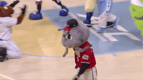 Griddy Muddy The Mudcat GIF