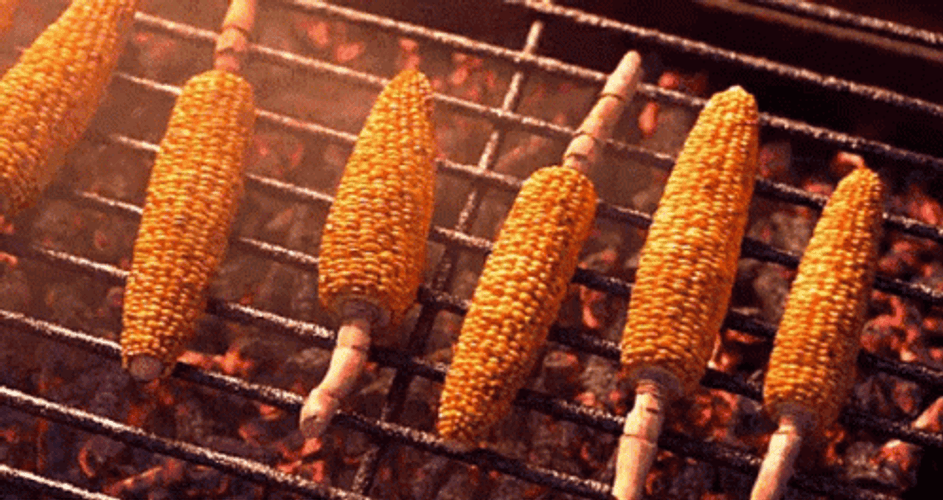 Grilling Lovely Corn Cobs Dancing GIF