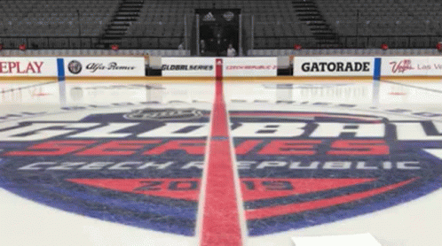 Gritty Ice Hockey Skills GIF
