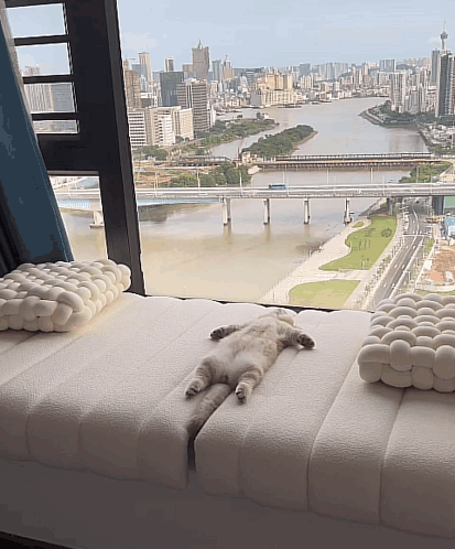 Groggy Cat Lying Down GIF