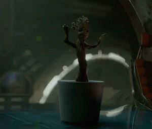 Groot Dancing in Pot