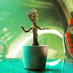 Groot The Plant Fictional Character GIF
